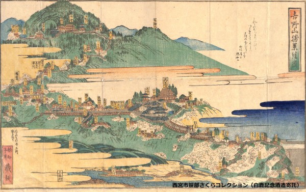 若木櫻ノ図