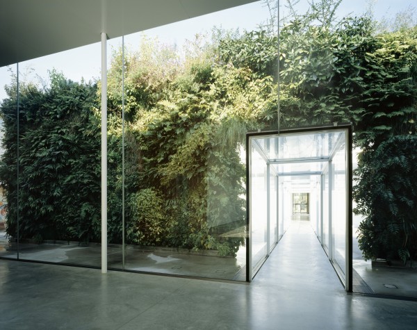 金沢21世紀美術館 緑の橋 | MU